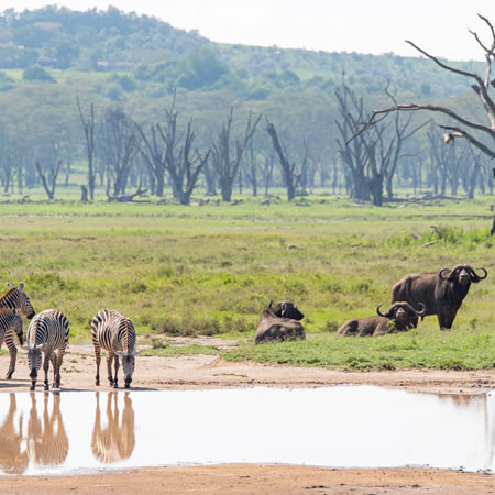 lake nakuru national park