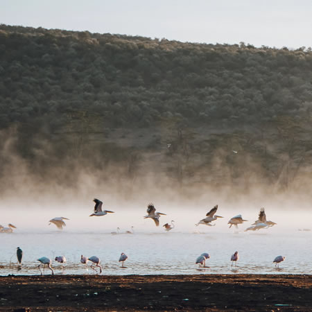 lake nakuru national park